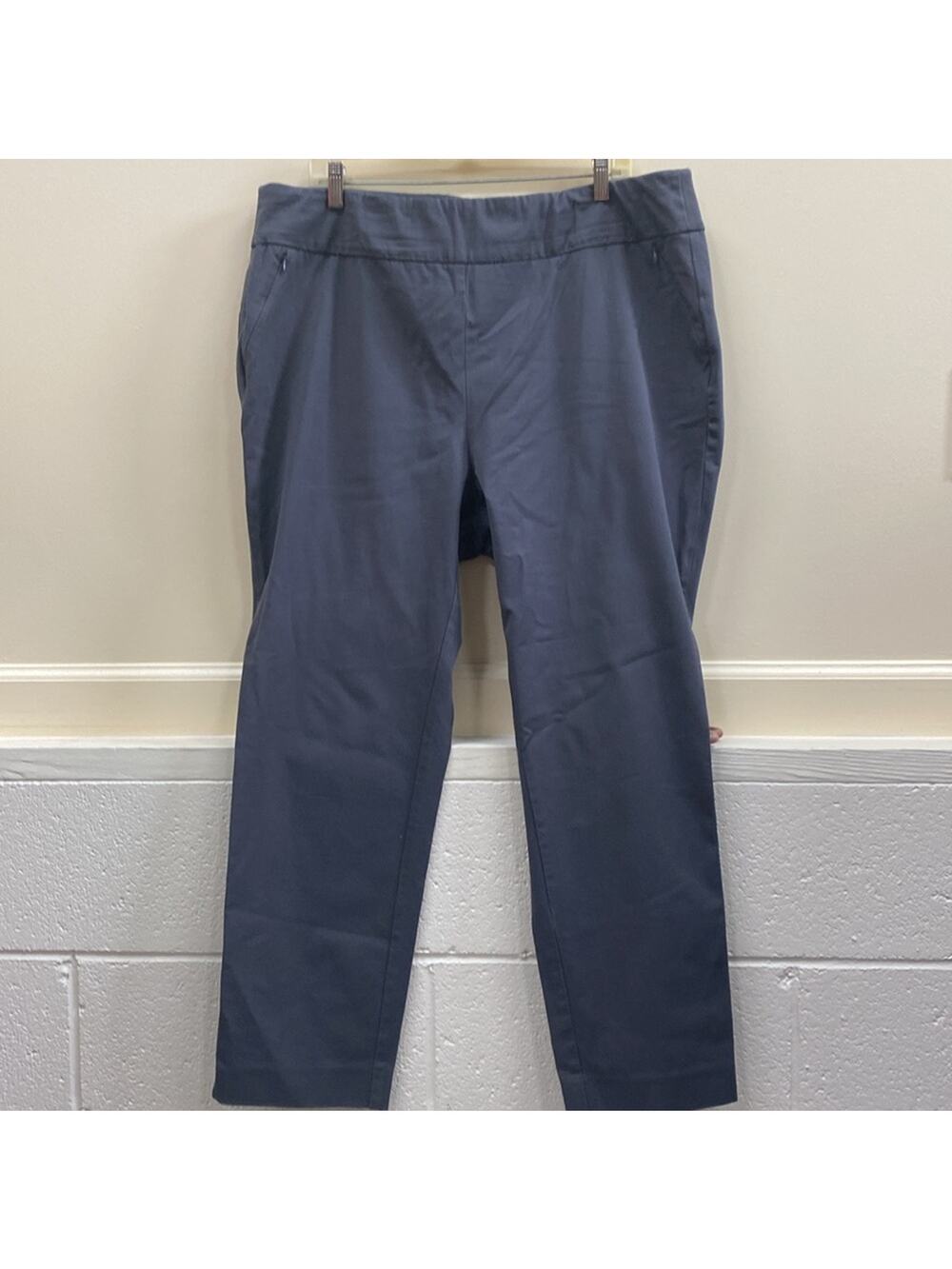 Soft Surroundings women’s size 1X gray stretchy pants